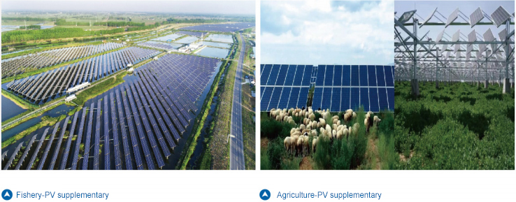 �������ʹ���-��Ӫ��ȫ,����һ·�ɳ�